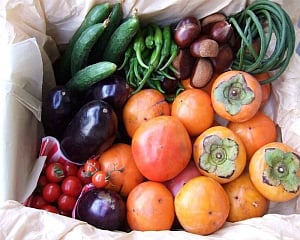 Fruit, vegetable intake may lower death risk in dialysis patients