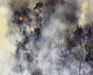 G7 leaders vow to help Brazil fight fires, repair damage