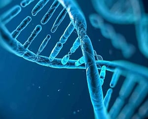 Gene 'partners' that promote spinal cord regeneration found