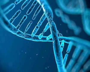 Genes may play role in tooth decay, gum disease: Study