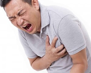 Genetic therapy heals damage caused by heart attack