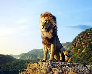 Gorgeous circle of life revisited