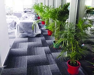 Green outside, greener inside