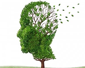 Gum disease linked to Alzheimer's risk