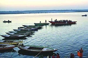 Haldia waterways may put Varanasi turtles in deep waters