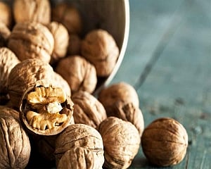 Handful of walnuts a day can keep diseases at bay
