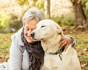 Having pets may lower stress in older adults: Study