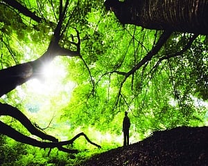 Heal self For a better world