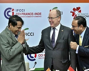 Huge scope for cooperation in services sector for India and Monaco: Prabhu