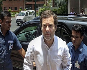 I am no longer Cong pres, CWC should quickly decide on successor: Rahul Gandhi