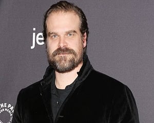 I never thought I'd be an action star: David Harbour