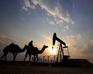 Iraq continues to be India's top oil supplier, imports from US rises 4-folds