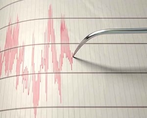 Major 7.3 quake hits off eastern Indonesia: USGS