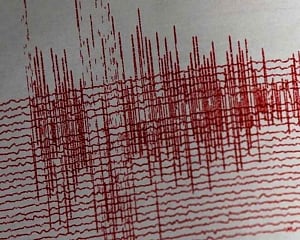 New Zealand cancels tsunami alert after powerful quake