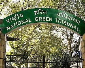 NGT slams Delhi govt over rainwater harvesting system in schools, colleges