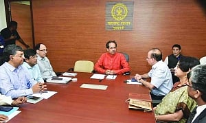 No more trees’ butchering, Uddhav stays