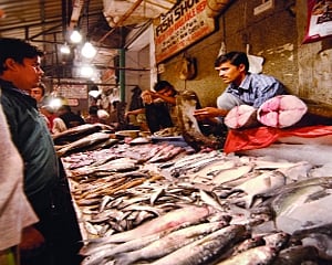 Not many fish in the sea