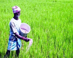 Opt for a reformist approach