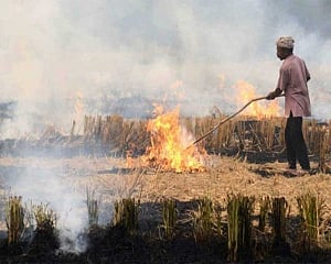 Over Rs 1,600 cr central funds to combat pollution, stubble burning: RTI