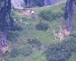 Pak raises white flag at LoC to retrieve 2 bodies
