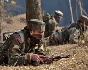 16 animals die as Pak violates ceasefire along LoC in J-K's Rajouri, Poonch