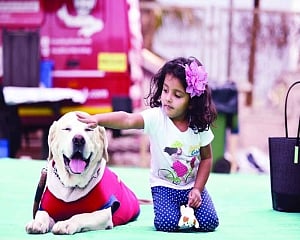 Pawsomeness