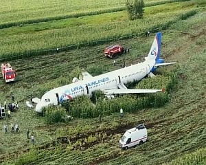 Pilot hailed as hero after bird strike disables Russian jet