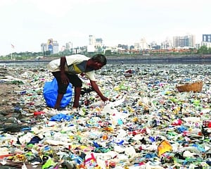 Plastic Reduction Announcements