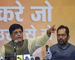 Rafale allegations won't harm BJP in elections: Goyal