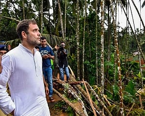 Rahul Gandhi appeals to people to donate relief material