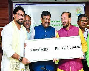 Rs 47,436-cr CAMPA funds to help States grow green fingers