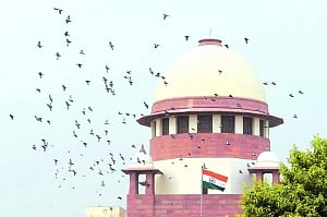 SC refuses to form panel to probe violence during Jamia, AMU agitation