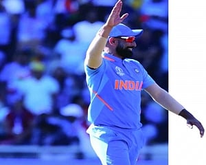 Shami 2.0 ticks & talks