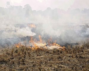 Share of stubble burning to Delhi's pollution rises to 46 per cent, highest this year: SAFAR
