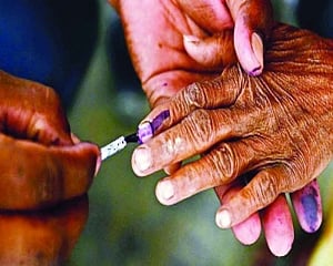 Some merit in ‘one poll’ idea