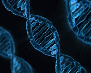 Soon, 3D printed tissues to help heal bone, cartilage