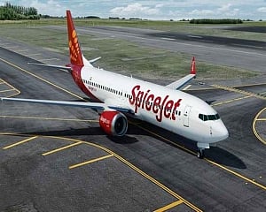 SpiceJet Q1 net profit up 788% at Rs 261.7 cr