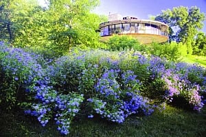 Sustainable gardens