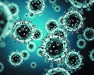 The viral effect