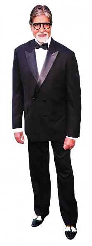 Trend Blazer