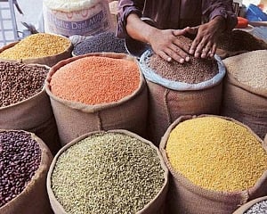 US, Canada move WTO against India on 'under-reporting' of MSP for five pulses