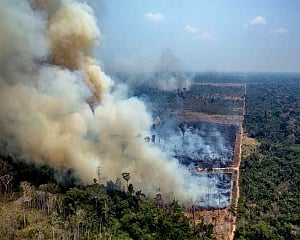 US ready to fight Amazon fires only in cooperation with Brazil