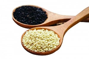 WarmFoods