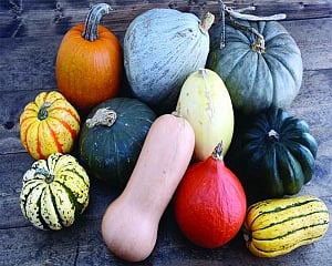 WarmFoods