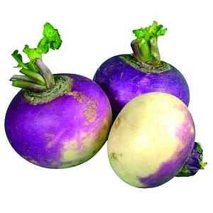 Warmfoods