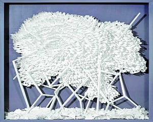White World