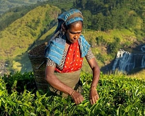 Women's unaccounted labour behind malnutrition in India: Study