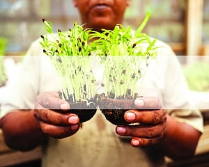 ‘Good Fortune has its roots in Disaster’