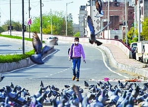 606 infected; 1st death in MP, TN