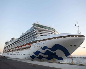 88 more people test positive for coronavirus on ship off Japan